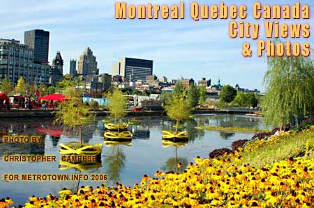 view of Montreal skyline from a nearby park with  field of yellow flowers by  water - another example of the human amenties of this  French Canada city