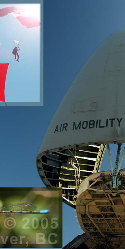 USA Military Cargo Plane / Mobility Command Services